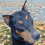 dobepic